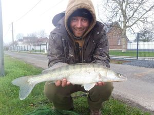 Zander