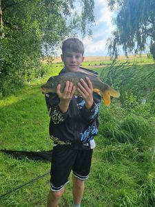 Common Carp