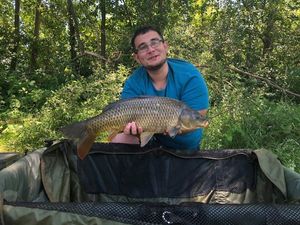 Mirror Carp