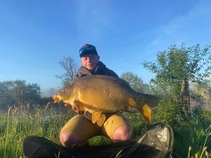 Mirror Carp