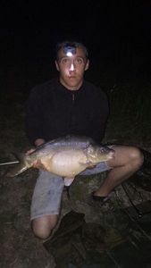 Mirror Carp