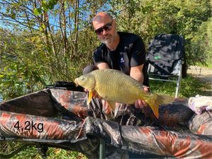 Mirror Carp