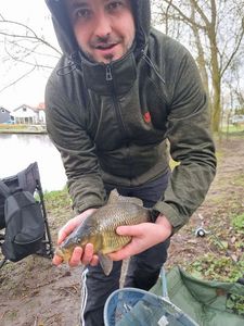 Common Carp