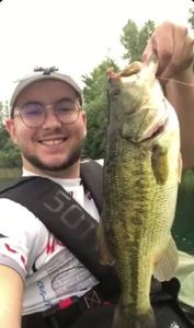 Largemouth Bass