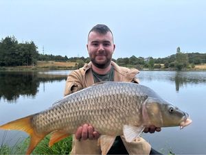 Common Carp