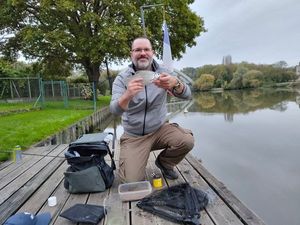 Common Bream