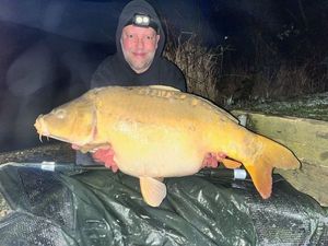 Mirror Carp