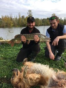 Northern Pike