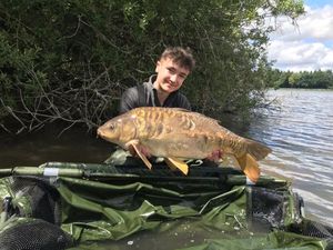 Mirror Carp