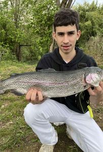 Rainbow Trout