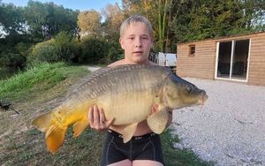 Mirror Carp