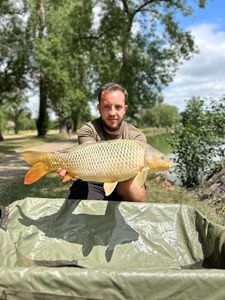 Common Carp