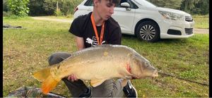 Mirror Carp