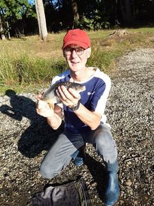 Mirror Carp