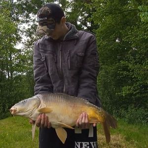 Mirror Carp