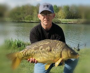 Mirror Carp