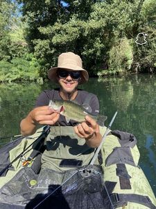 Largemouth Bass
