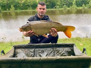Common Carp