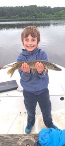 Northern Pike