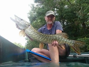 Northern Pike