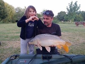 Mirror Carp