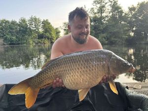 Common Carp
