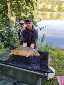 Mirror Carp
