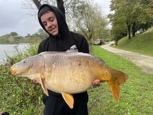 Mirror Carp