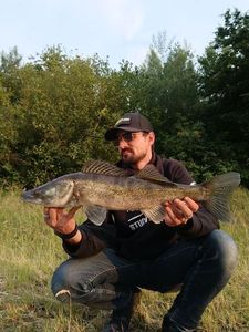 Zander