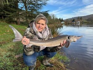 Sturgeon