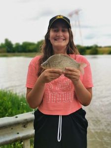 Crucian Carp