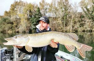 Northern Pike