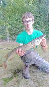 Northern Pike