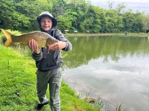Common Carp