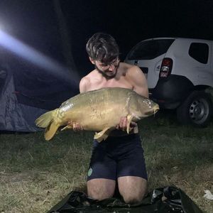 Mirror Carp