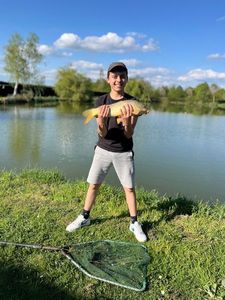 Common Carp