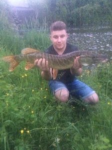 Northern Pike