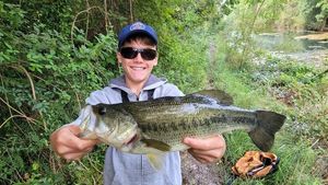 Largemouth Bass
