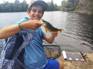 European Perch