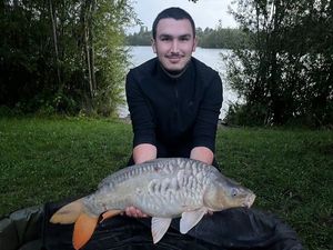Mirror Carp
