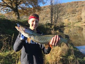 Northern Pike