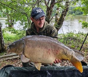 Mirror Carp