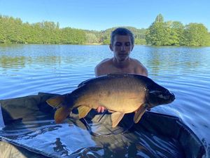 Mirror Carp