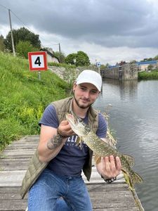 Northern Pike
