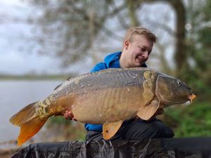 Mirror Carp