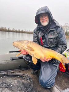 Leather Carp