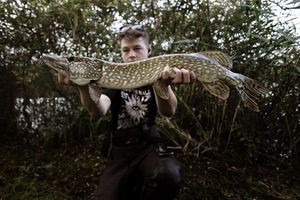 Northern Pike