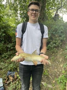 Barbel