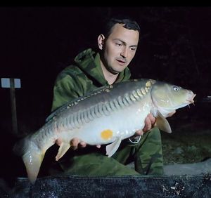 Mirror Carp