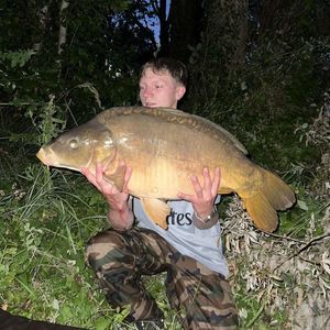 Mirror Carp